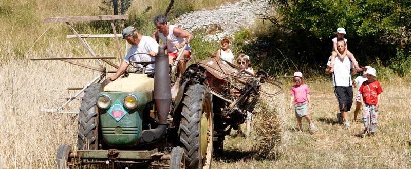 annales des rencontres archéologiques de saint-céré