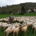 Transhumance_Rocamadour_Luzech_2016