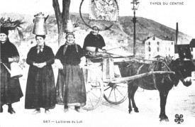Lot 1