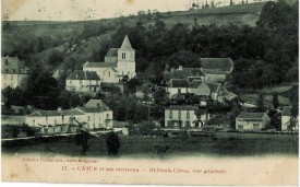 Cpstdeniscatus