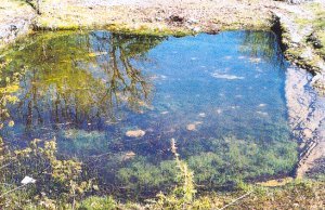 Lac de St Namphaise